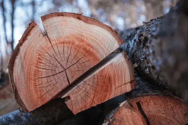 Digital Business Card vs. Paper: Smart Networking in 2025