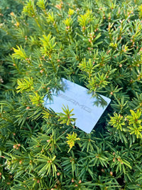 Metal Smart Business Card TekMark